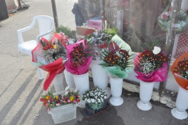 Cum rezistă florăresele în toiul iernii?